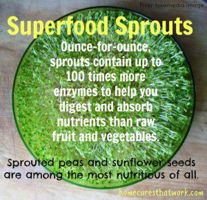 superfood sprouts