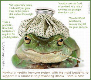 healthy immune system