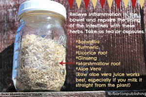 Herbs for bowel and intestines