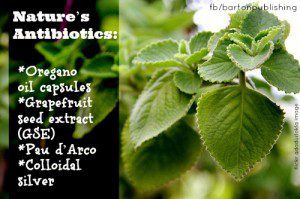 nature's antibiotics