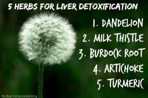 5 herbs for liver detox