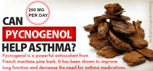 pycnogenol 200 mg per day for asthma