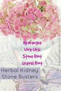 herbal kidney stone busters