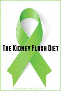 the kidney flush diet 