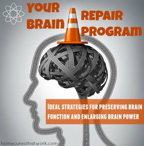 brain repair program 