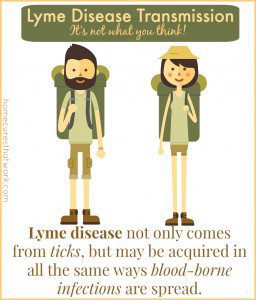 lyme disease transmission