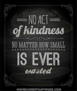 no act of kindness no matter how small is ever wasted