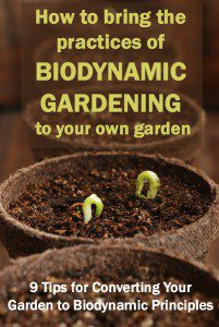 biodynamic gardening practices v2