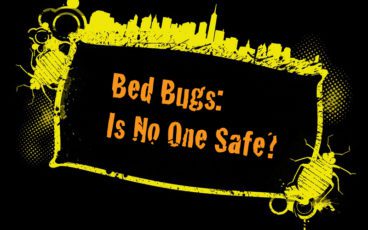 Grunge2 bed bug banner dreamstime 18502952