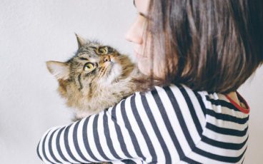 Holding cat by flickr barnimages com