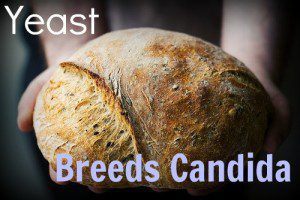 Yeast Breeds Candida Fresh bread by flick bcymet