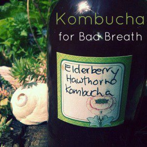 Kombucha for Bad Breath by flickr kk+