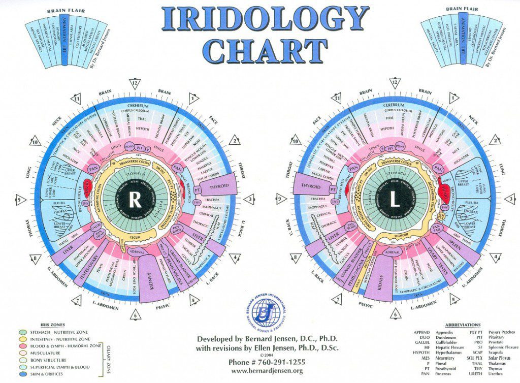 Read Iridology Chart