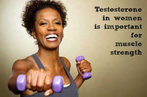 Testosterone in women is important for muscle strength1