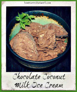 Chocolate Coconut Ice Cream Recipe by Flickr DragonGirl