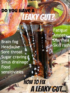 Leaky gut2 fix by flickr ian boyd