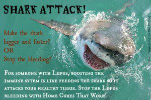 Shark lupus attack by flickr Bring on the Photog