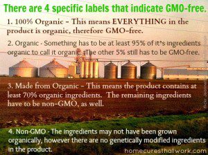 GMO corn labels by flickr Jeannette E. Spaghetti