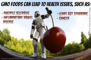 GMO foods health by flickr Kalexanderson
