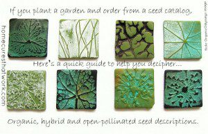 organic seeds guide by flickr OrganicOdysseys