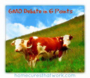 GMO Debate in 6 Points
