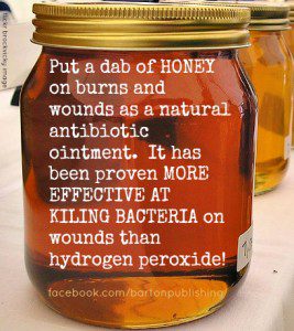 honey kills bacteria