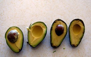 Avocados by flickr maureen sill