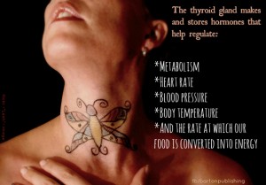 thyroid regulation