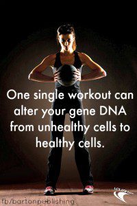one single workout can alter DNA