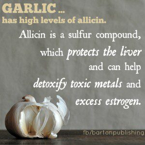 garlic and allicin