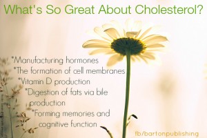 what's so great about cholesterol