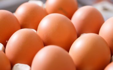 Bigstock fresh and organic chicken eggs 107048486