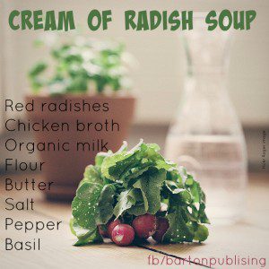 cream of radish soup