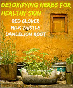 detoxifying herbs for healthy skin