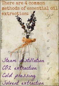 4 methods of essential oil extraction