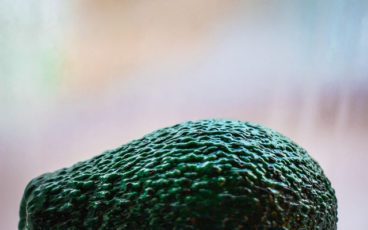 640 avocado by flickr ivana vasilj