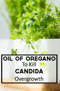 oil of oregano to kill candida overgrowth