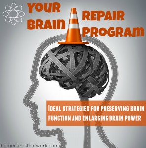 brain repair program 