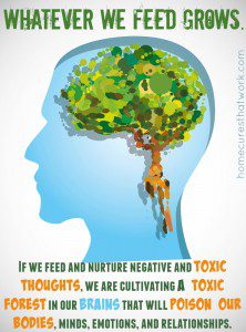 whatever we feed our brain it grows