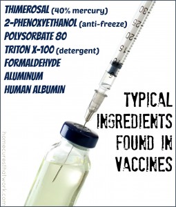 typical ingredients found in vaccines 