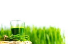 640 bigstock shot glass of wheat grass with 69563119