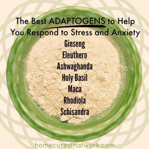 Best adaptogens to help you respond to stress and anxiety v3