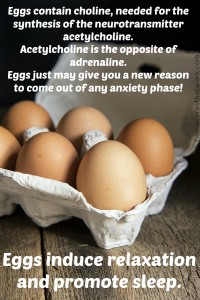 eggs induce relaxation and promote sleep
