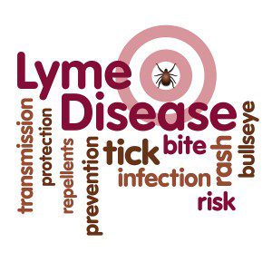 Lyme Disease, Tick,