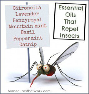 essential oils that repel insects 