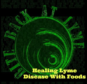 healing lyme disease with foods