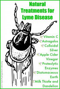 natural treatments for lyme disease