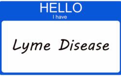 640 progressive healing of lyme disease 1