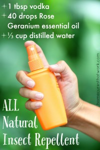 all natural insect repellent