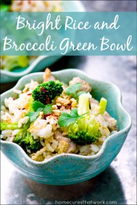 bright rice and broccoli green bowl